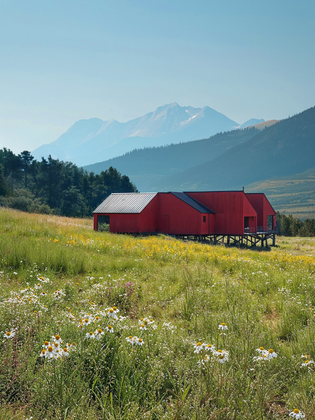 Rendering of red cabins on stilts in a meadow filled with wildflowers, with mountain peaks in the background