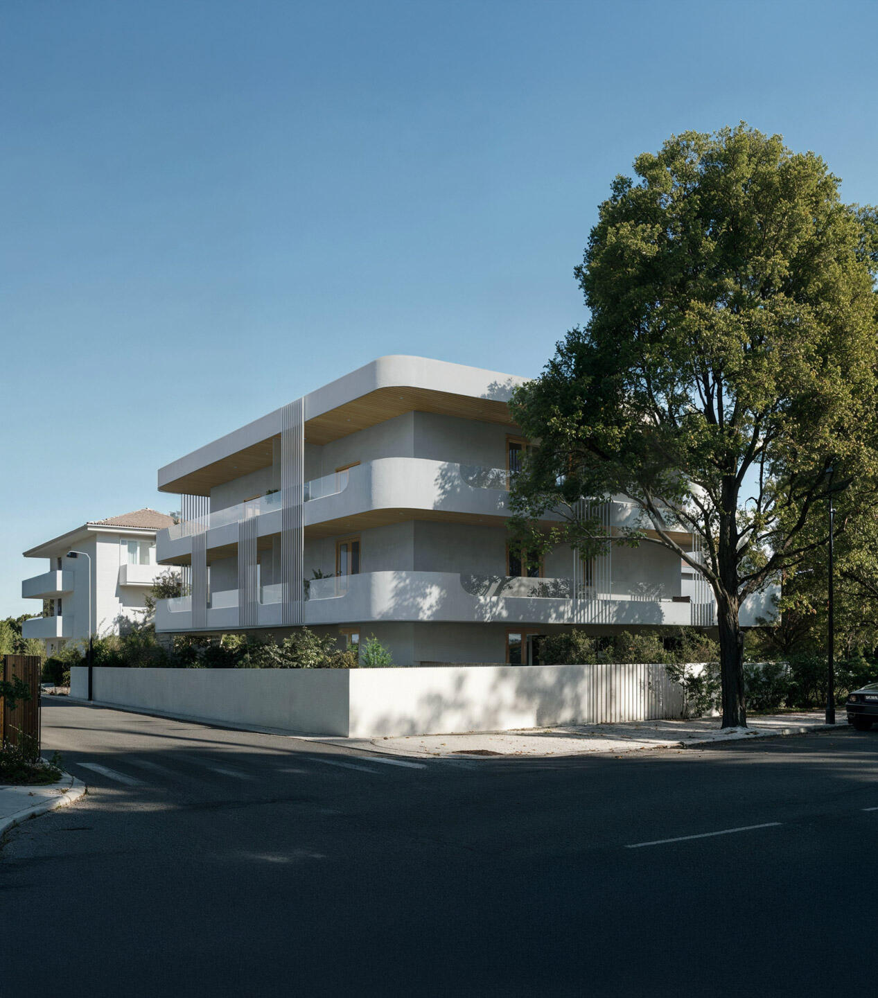 Daytime rendering of a modern residential building with curved balconies and wooden accents, framed by a large tree