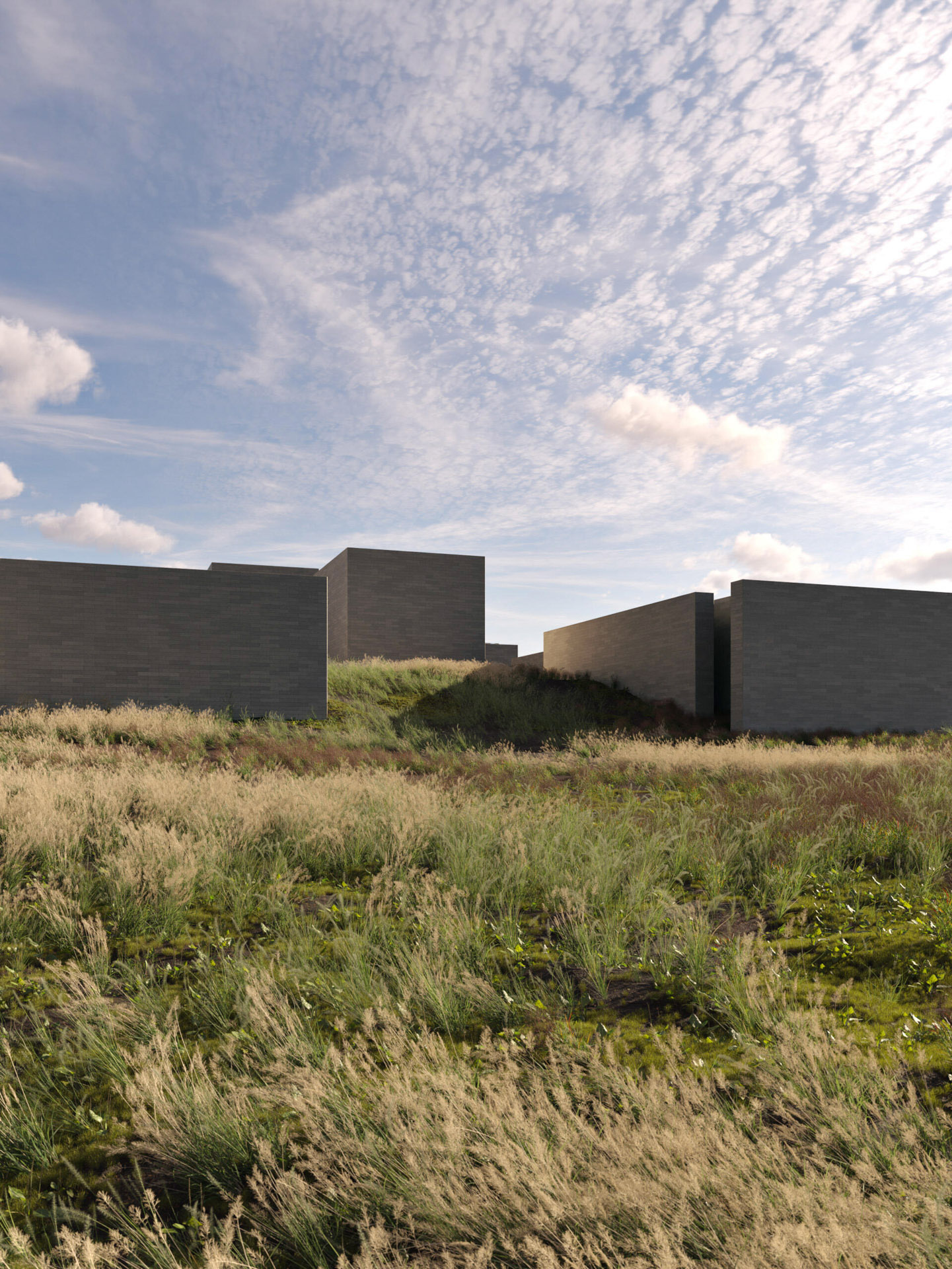 3D rendering of Glenstone Museum’s geometric concrete forms rise from a windswept meadow under a sky streaked with high-altitude clouds.