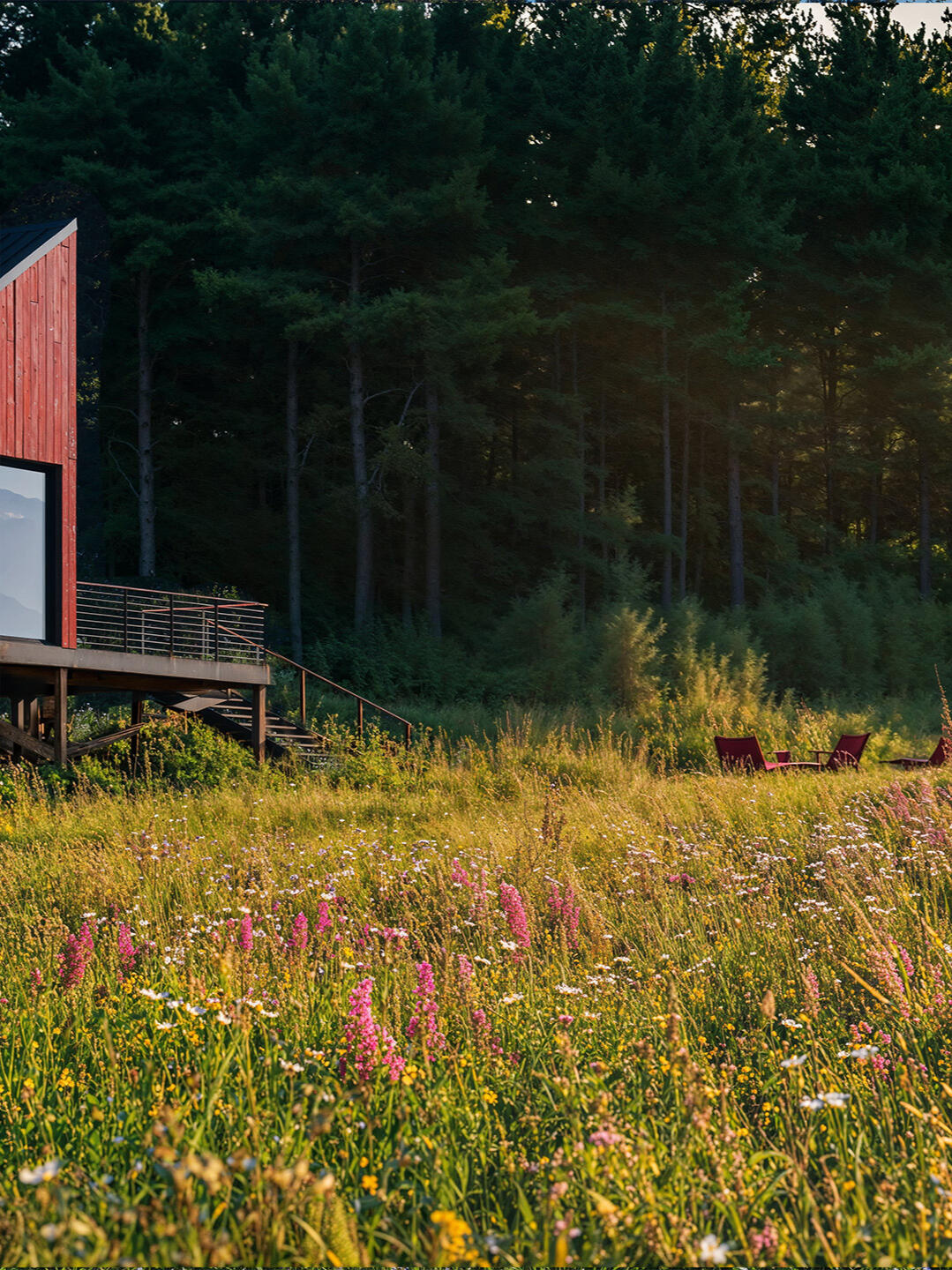 Rendering of a red cabin on stilts beside a wildflower meadow at the edge of a pine forest.